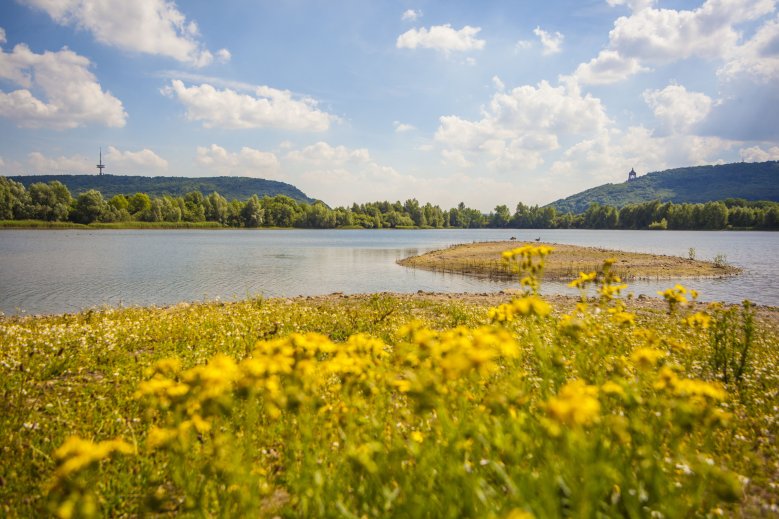 Baltussee mit Blick auf das Kaiser-Wilhelm-Denkmal