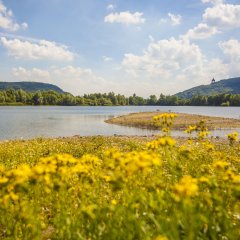 Baltussee mit Blick auf das Kaiser-Wilhelm-Denkmal