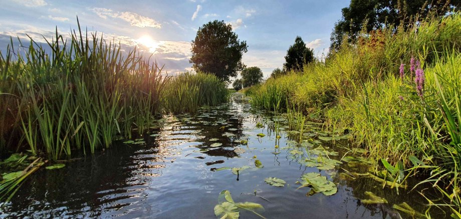 Die Bastau in Minden