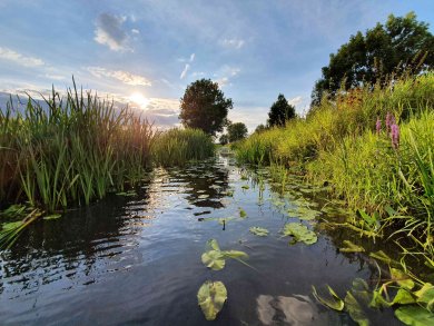 Die Bastau in Minden