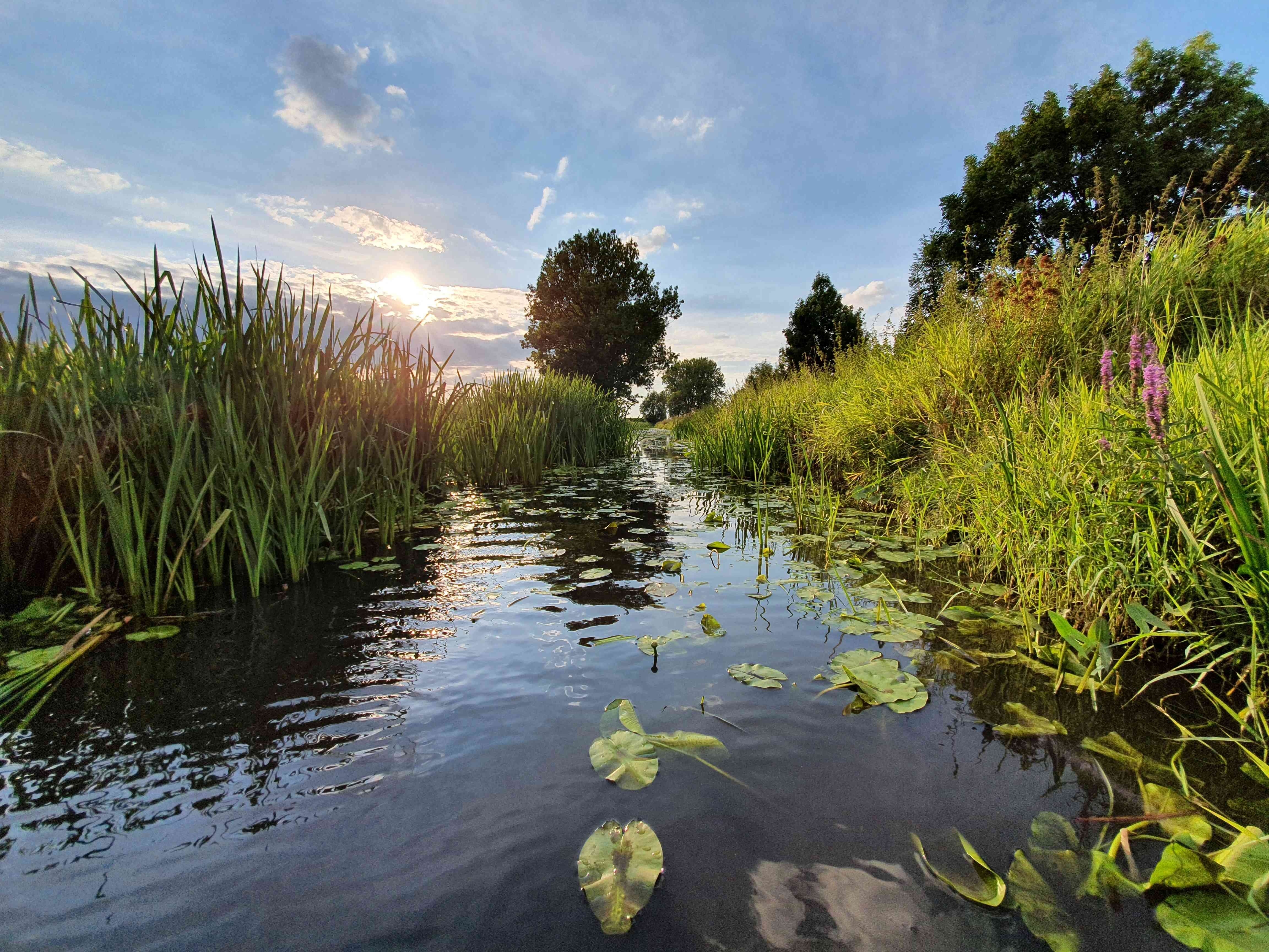 Bastau Die Bastau in Minden