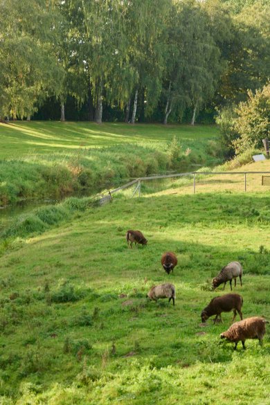 Das Bastauufer im Stadtbezirk Rodenbeck