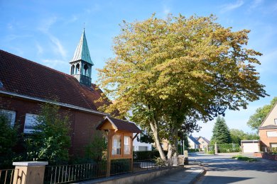 Eine Kurche im Stadtbezirk Bölhorst