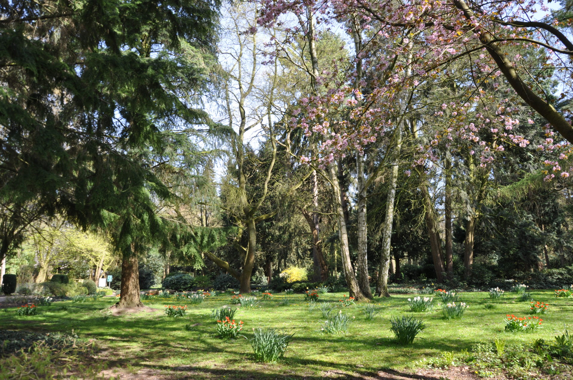 Botanischer Garten