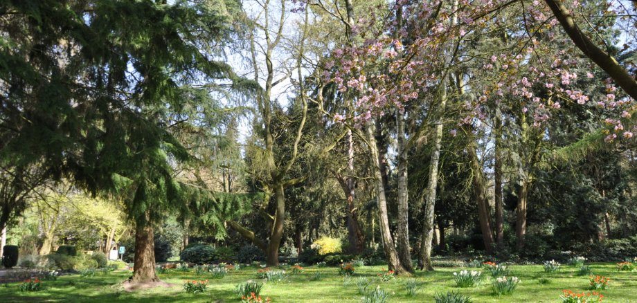 Botanischer Garten Botanischer Garten