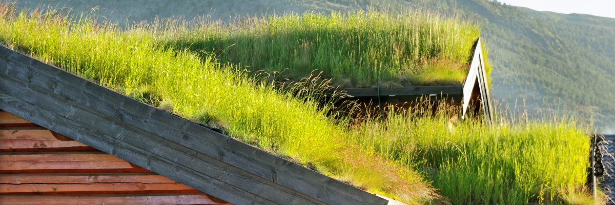 Dachbegrünung Hausdach mit Gras bewachsen