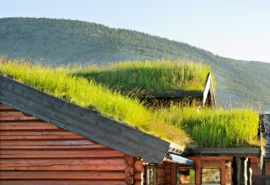 Dachbegrünung Hausdach mit Gras bewachsen