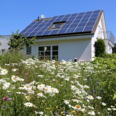 Einfamilienhaus im Grünen mit Solaranlage