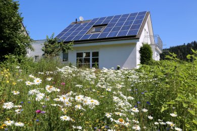 Einfamilienhaus im Grünen mit Solaranlage