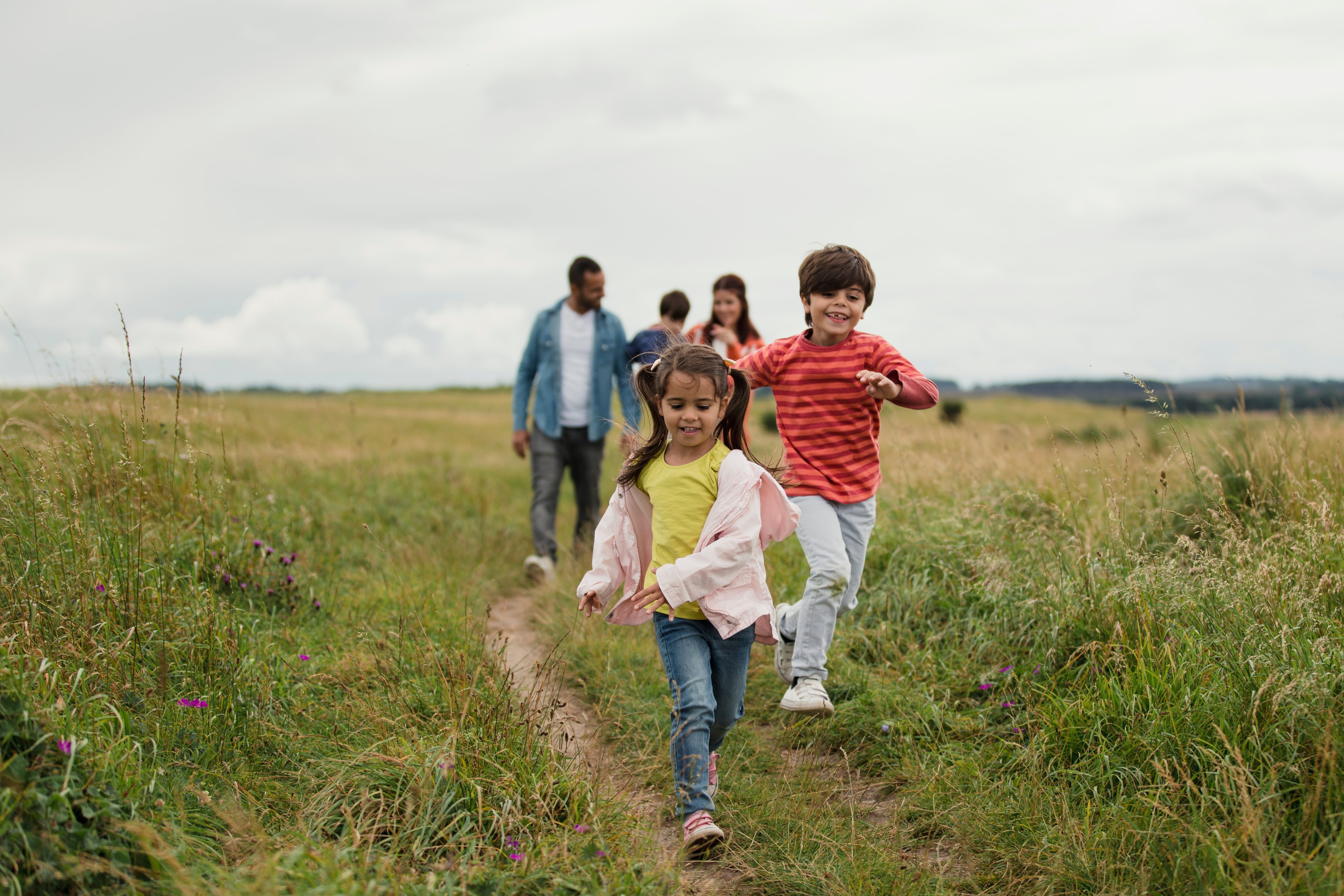 Familie läuft über Wiese Familie läuft über Wiese