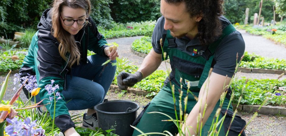 Ausbildung zur Friedhofsgärtner*in bei den Städtischen Betrieben 