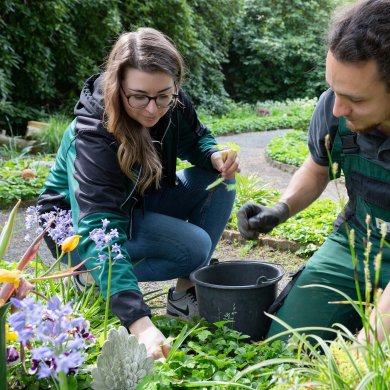 Ausbildung  zur Friedhofsgärtner*in bei den Städtischen Betrieben  Friedhofsgärtner bei der Grabpflege