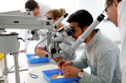 Forschung am JWK Forschung am JWK