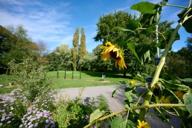 Der Goethepark im Stadtbezirk Königstor