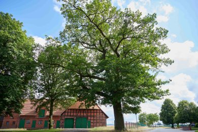 Historischer Hof im Stadtbezirk Päpinghausen