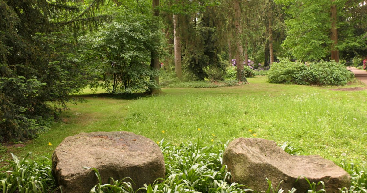 Immer mehr Müll in den Grünflächen frustriert städtische Gärtner*innen