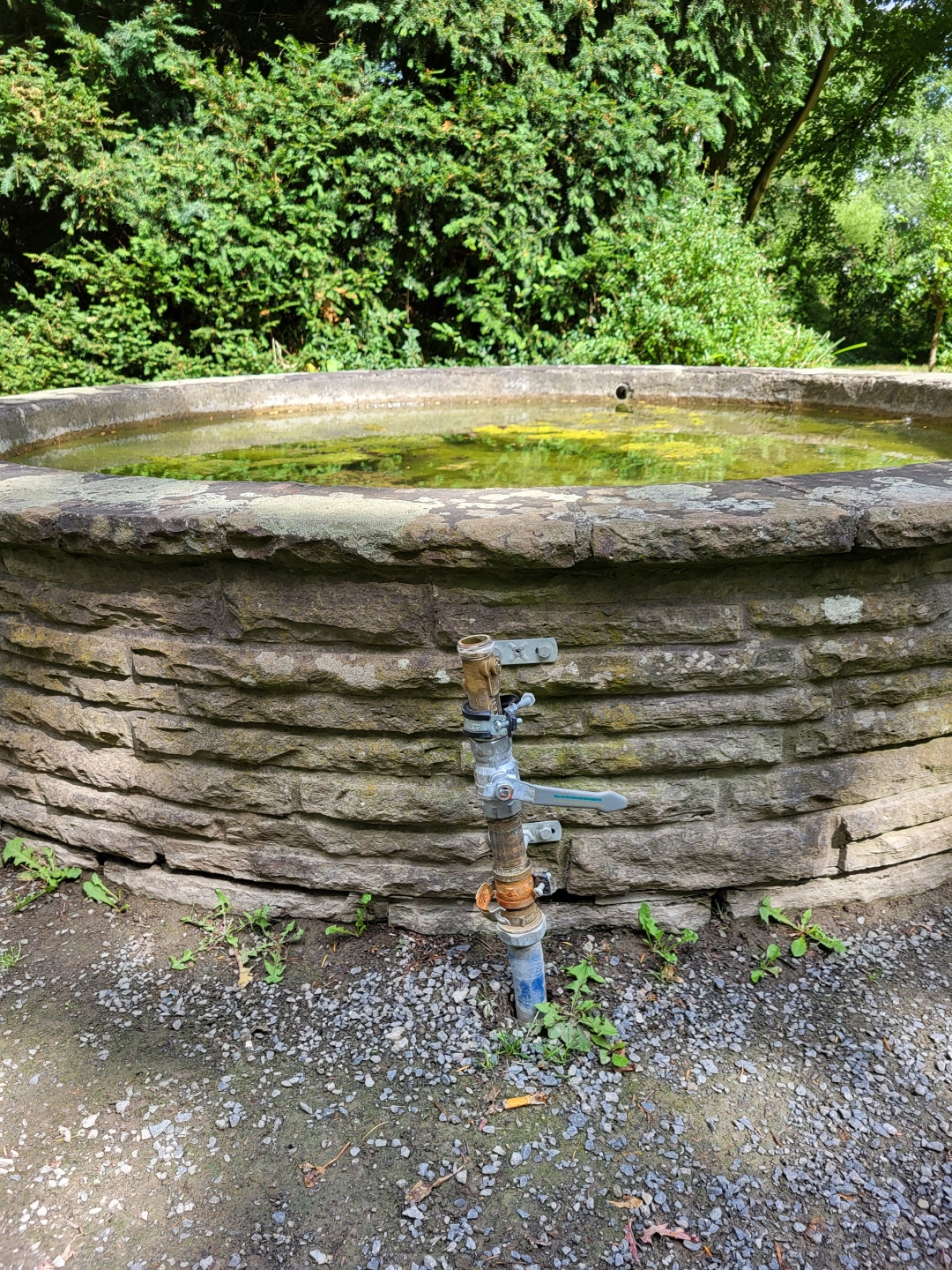 Brunnen ohne Absperrhahn auf Südfriedhof