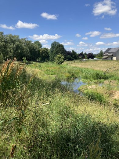 Die renaturierte Bastau mit natürlichem Wasserlauf Die renaturierte Bastau mit natürlichem Wasserlauf