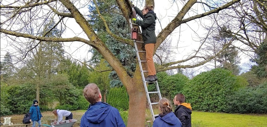 Schüler*innen der Umwelt-AG brachten auf dem Nordfriedhof Nistkästen an