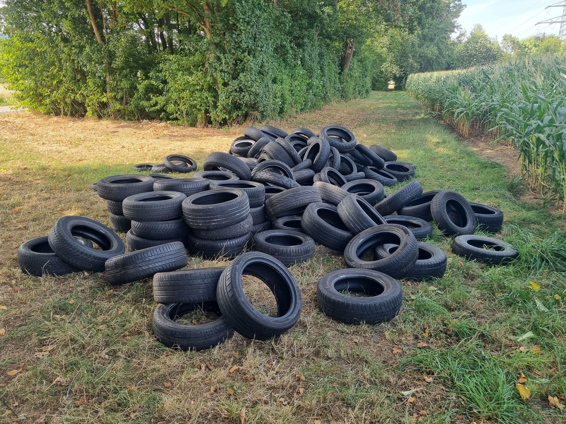 Unbekannte Täter haben in Häverstädt an einem Feldrand alte Reifen abgeladen