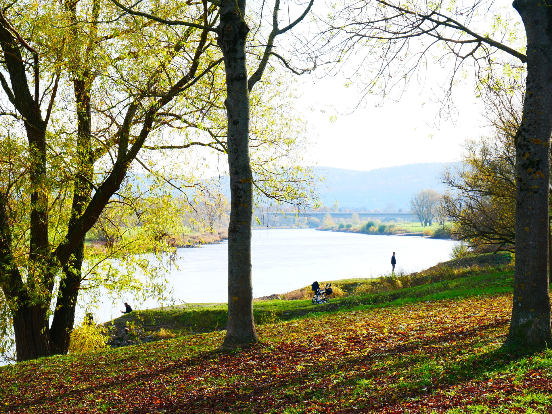 Weser im Herbst
