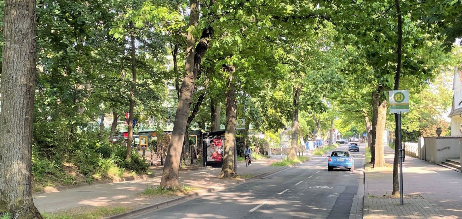 In diesem Abschnitt der Rodenbecker Straße startet in den Sommerferien ein Verkehrsversuch