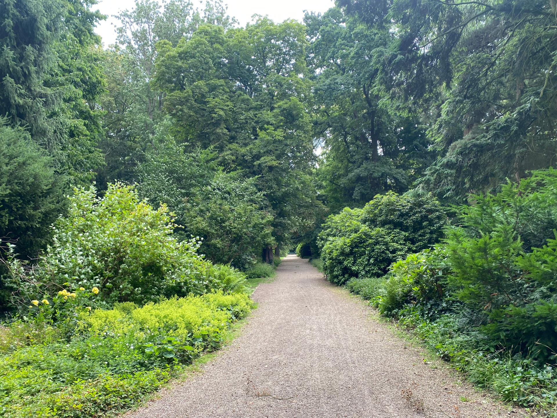 Weg im Glacis in Minden
