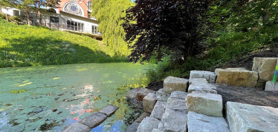 Mehr Aufenthaltsqualität am Teich