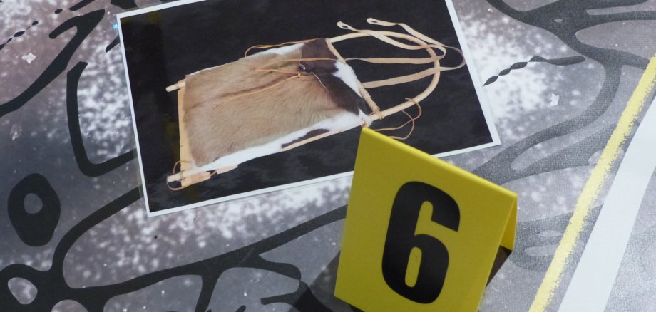 Aufschlussreicher Beifund: die Rückentrage von Ötzi
