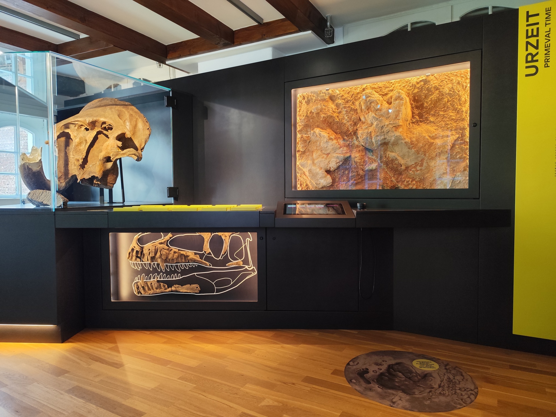Führung Urgeschichte Blick in den Ausstellungsraum