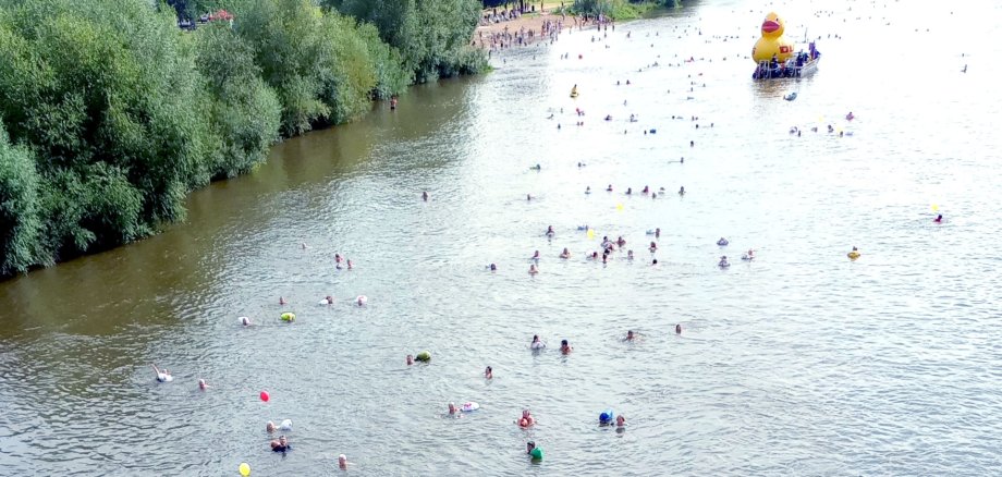 Mindener Weserschwimmen