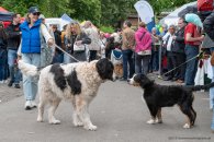 Stadtteilfest Rechte Weserseite 2025 Stadtteilfest Rechte Weserseite 2025