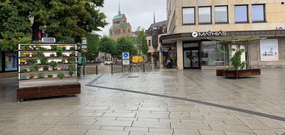 Vertikale Gärten am Mindener ZOB