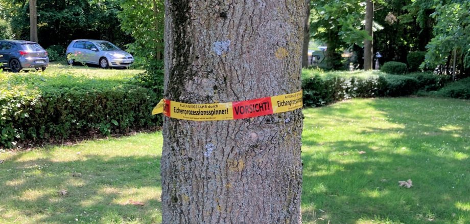 Die Städtischen Betriebe haben Eichen mit Warnbändern versehen Die Städtischen Betriebe haben Eichen mit Warnbändern versehen