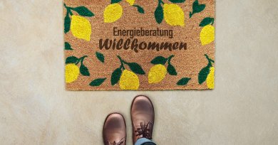 Quartiersberatung zur Haussanierung