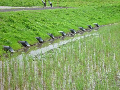 Regenbecken Zulauf Zulauf in einem Regenrückhaltebecken