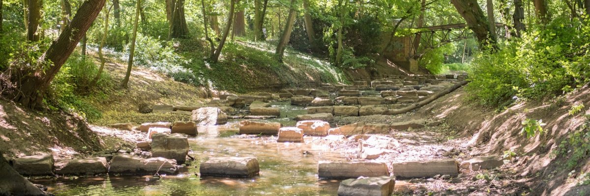 Bastau im Weserglacis Bastau im Weserglacis