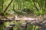 Bastau im Weserglacis Bastau im Weserglacis