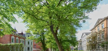 Häuser in der Innenstadt