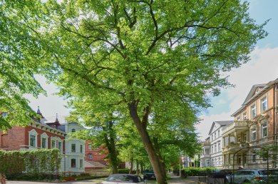 Wohnen in Minden Innenstadt Häuser in der Innenstadt